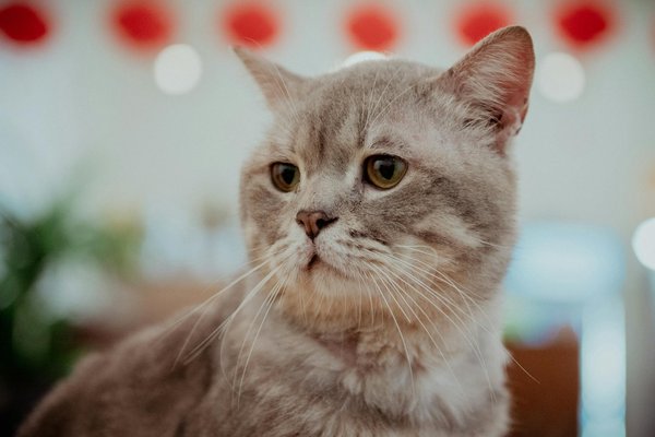 How Can the UK Promote Grassroots Sports Initiatives?