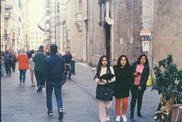 How do UK pet owners manage allergies related to pets?