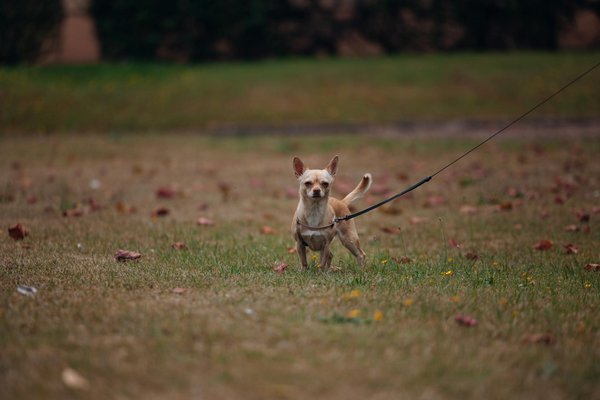 How Will Emerging Technologies Transform the Future of Privacy?